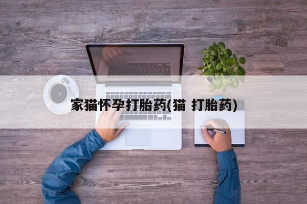 米非米索在线购微信家猫怀孕打胎药(猫 打胎药)